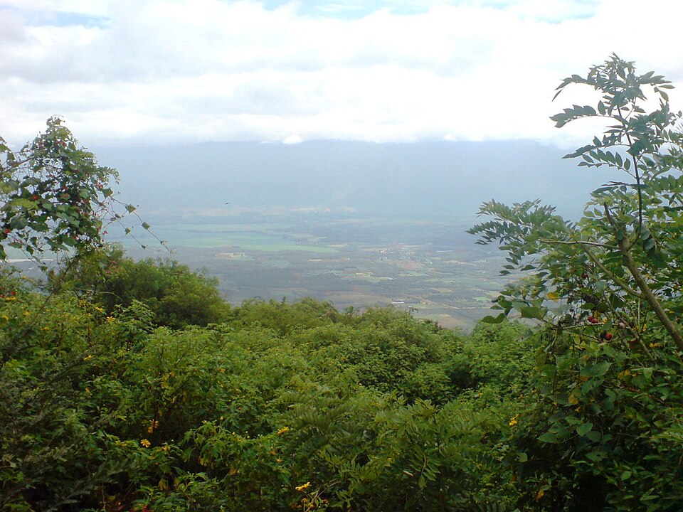Chellarcovil View Point